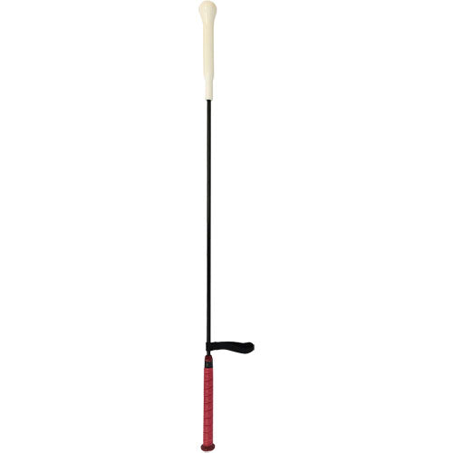 RAWLINGS SWING TRAINER