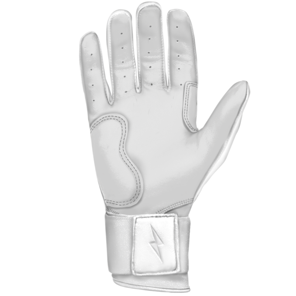 BRUCE BOLT 2021 CHROME SERIES LONG CUFF BATTING GLOVES WITH STORAGE BAG