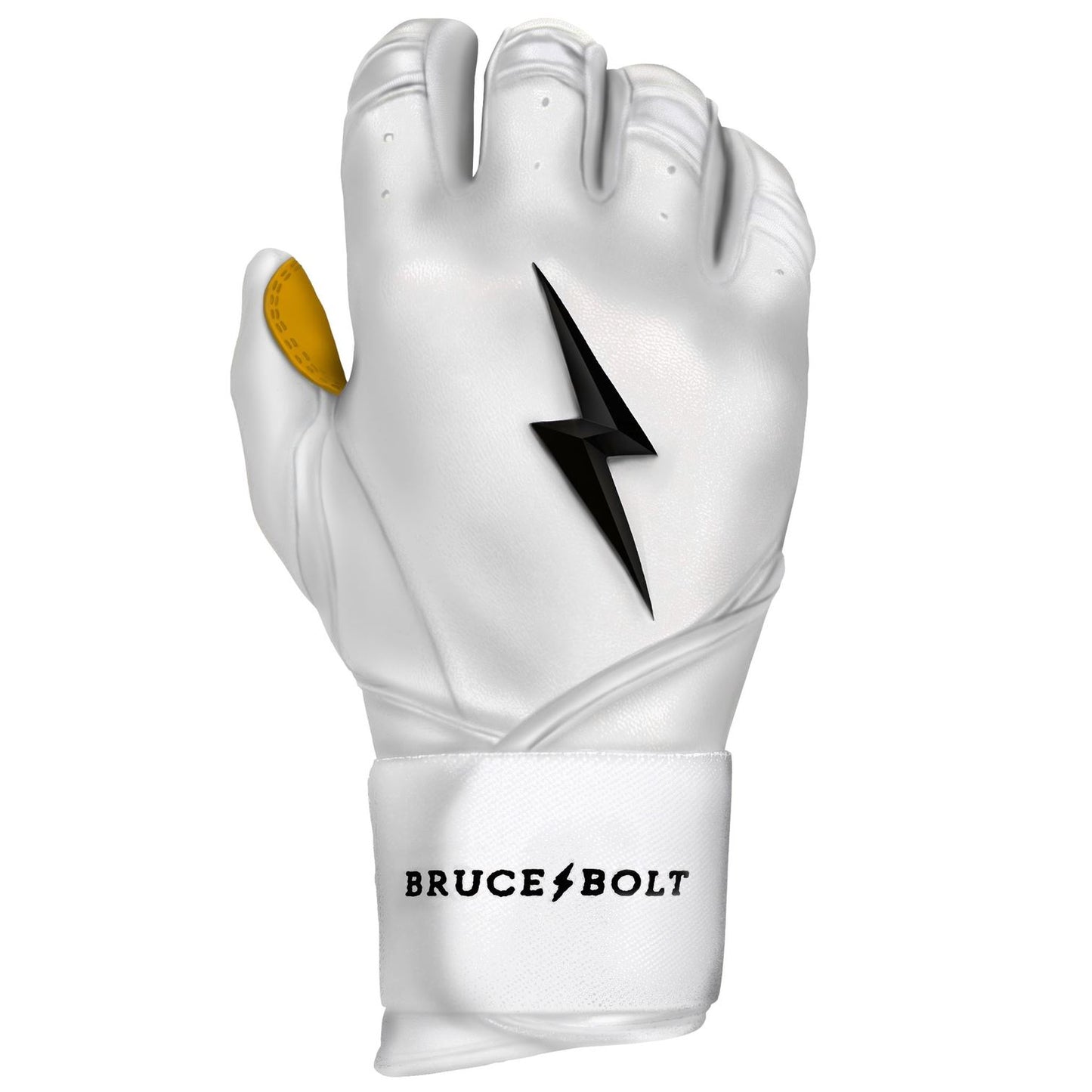 BRUCE BOLT PREMIUM PRO LONG CUFF BATTING GLOVES WITH STORAGE BAG